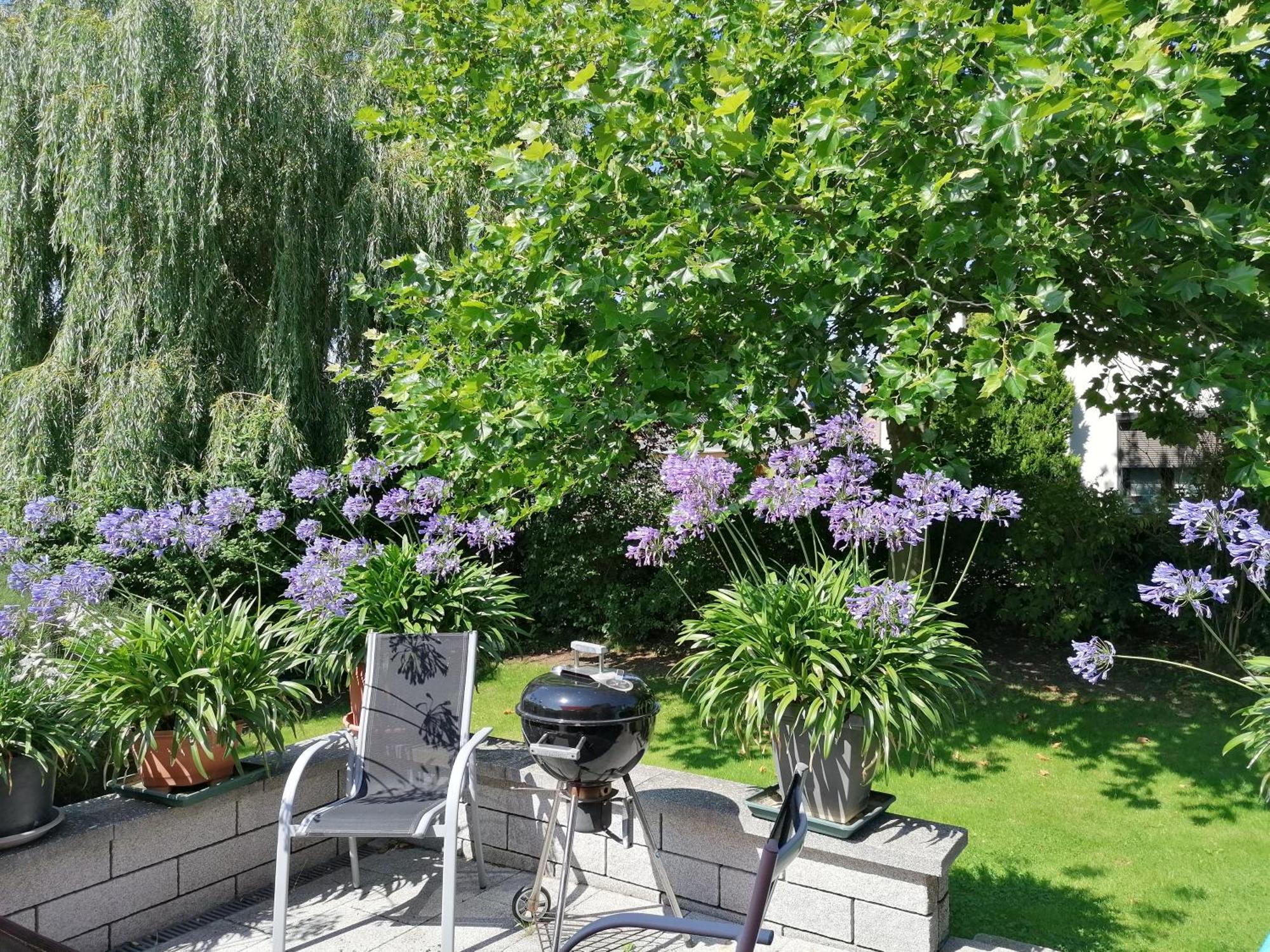 Pension Haus Anneliese Иккериц Экстерьер фото