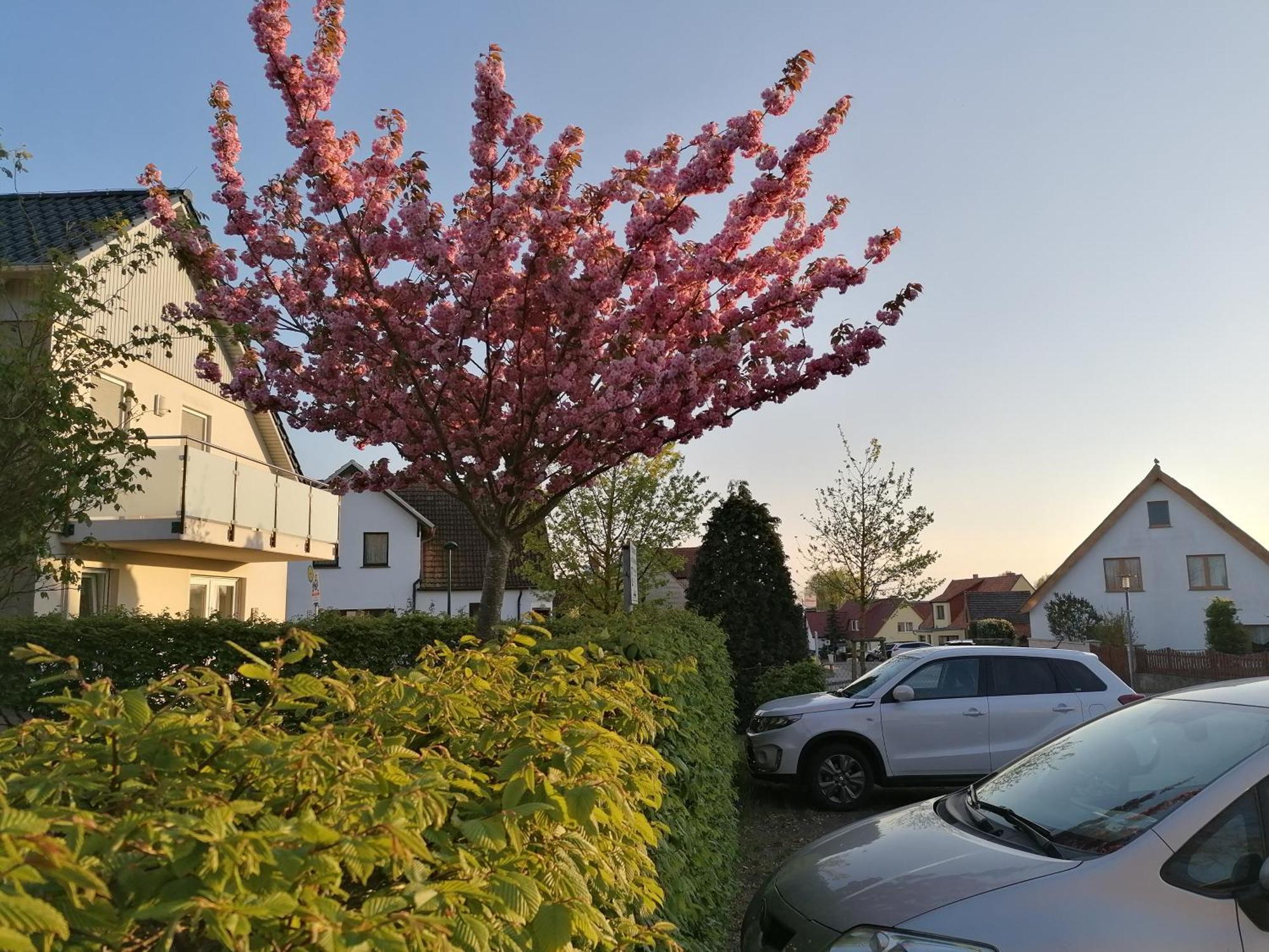 Pension Haus Anneliese Иккериц Экстерьер фото
