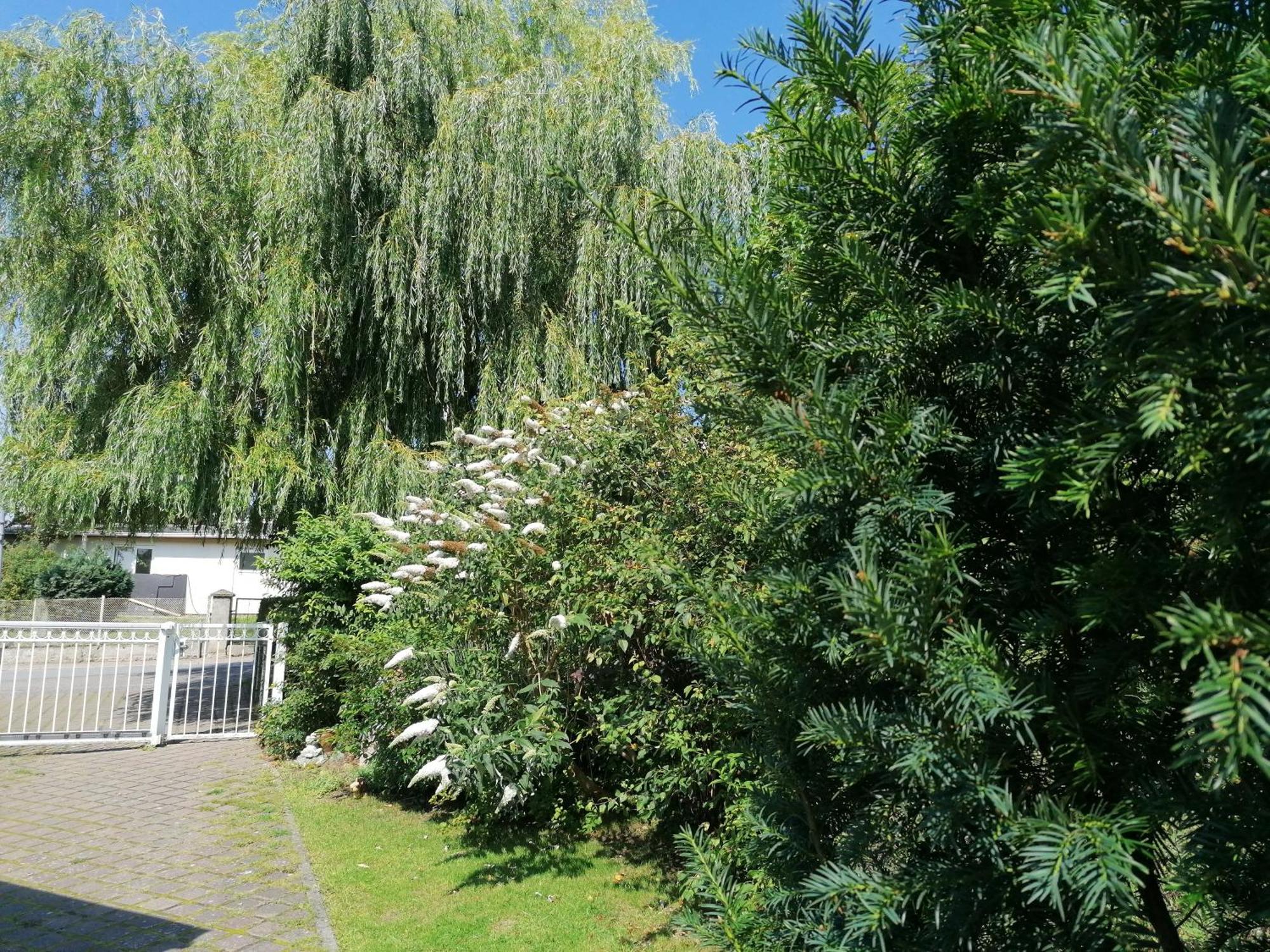 Pension Haus Anneliese Иккериц Экстерьер фото