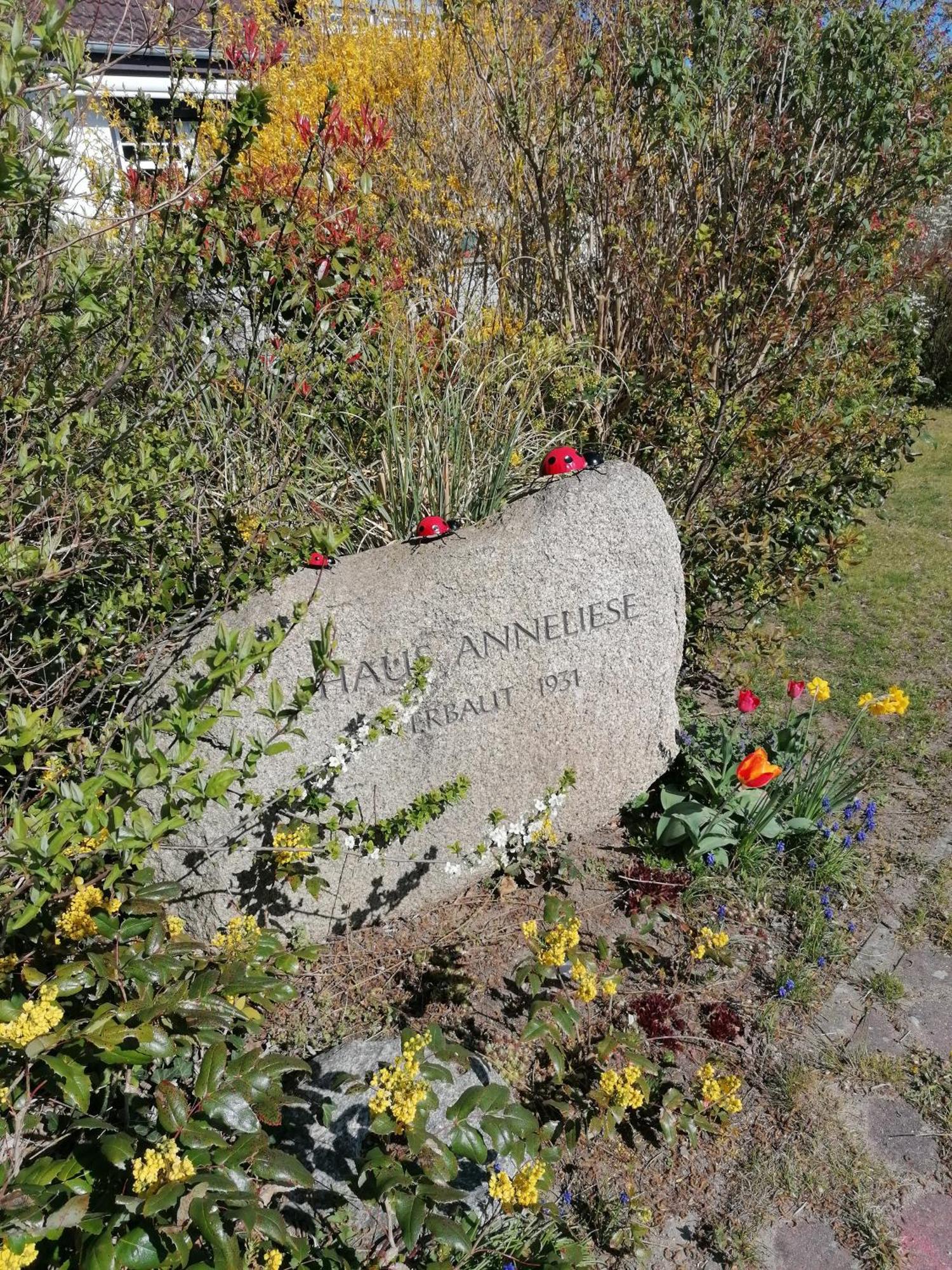 Pension Haus Anneliese Иккериц Экстерьер фото